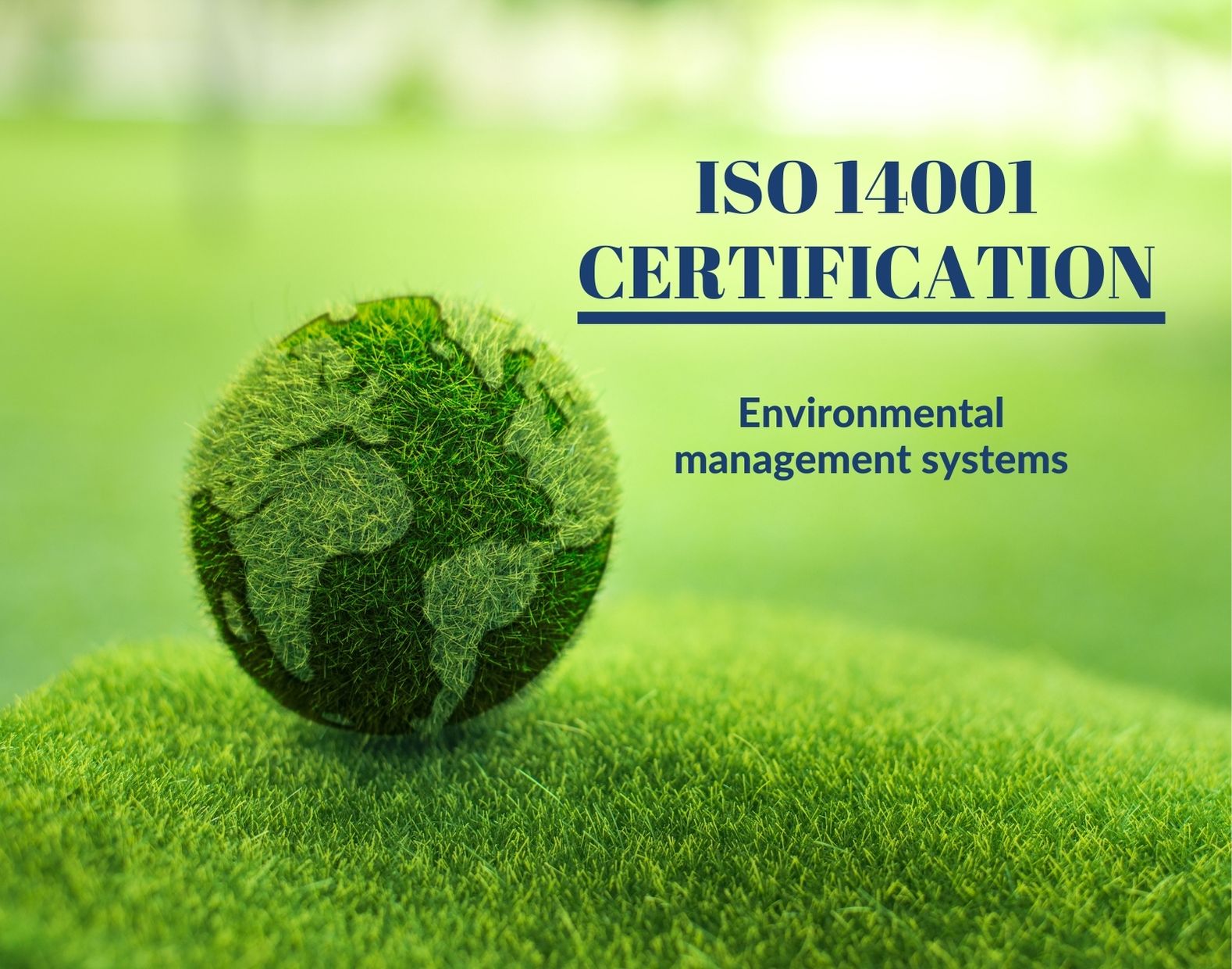 ISO 14001 Certification in India